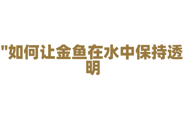 "如何让金鱼在水中保持透明？"